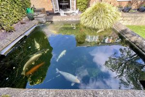 Photo 67- click for photo gallery